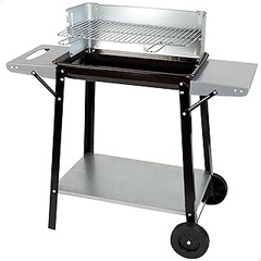 Alternativas a las Barbacoas de Carbón Portátiles para Cocinar al Aire Libre
