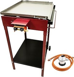 Guía para elegir la mejor plancha de gas con tapa