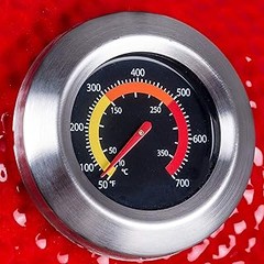 Descubre las ventajas de un termómetro para kamado en tu asado