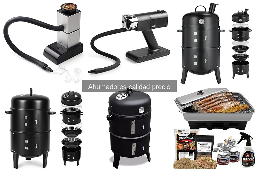 ** Alternativas a Ahumadores de Calidad Precio: Otras Opciones
