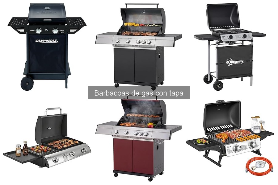 Alternativas a barbacoas de gas con tapa: ¿Cuál elegir?