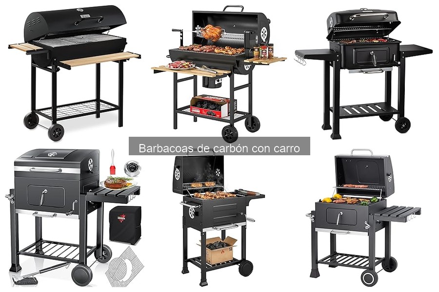 Alternativas a las Barbacoas de Carbón con Carro en 2023