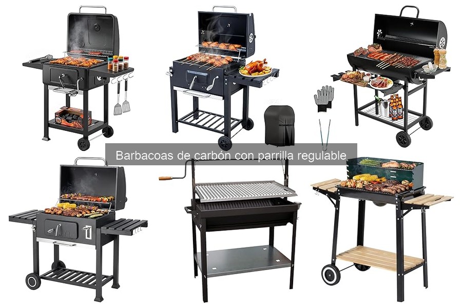 Alternativas a las Barbacoas de Carbón con Parrilla Regulable