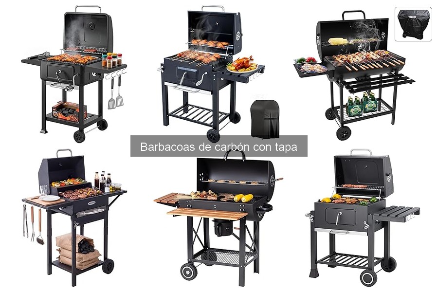 Alternativas a las Barbacoas de Carbón con Tapa