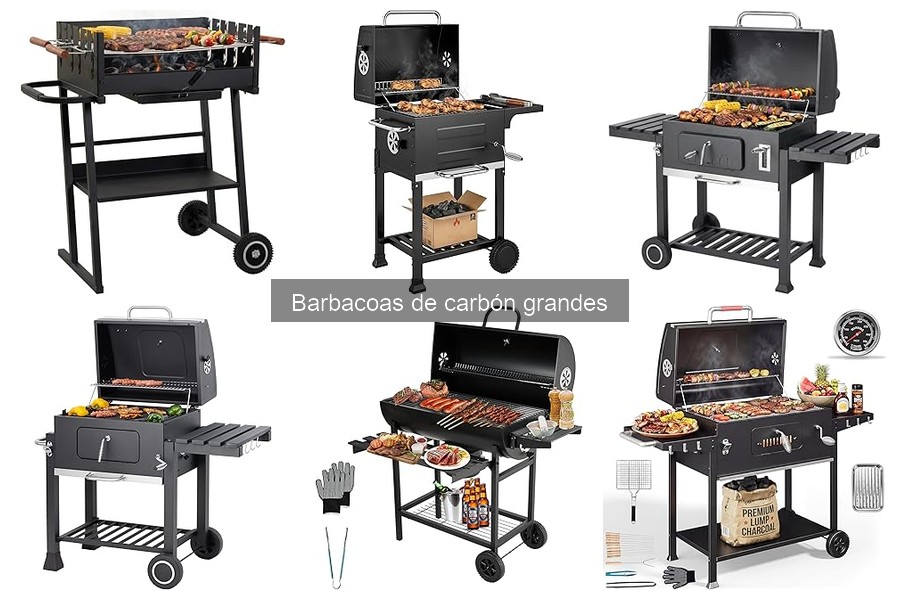 Alternativas a las Barbacoas de Carbón Grandes: Guía 2023