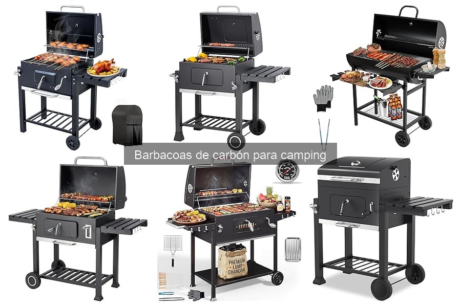 Alternativas a las Barbacoas de Carbón para Camping