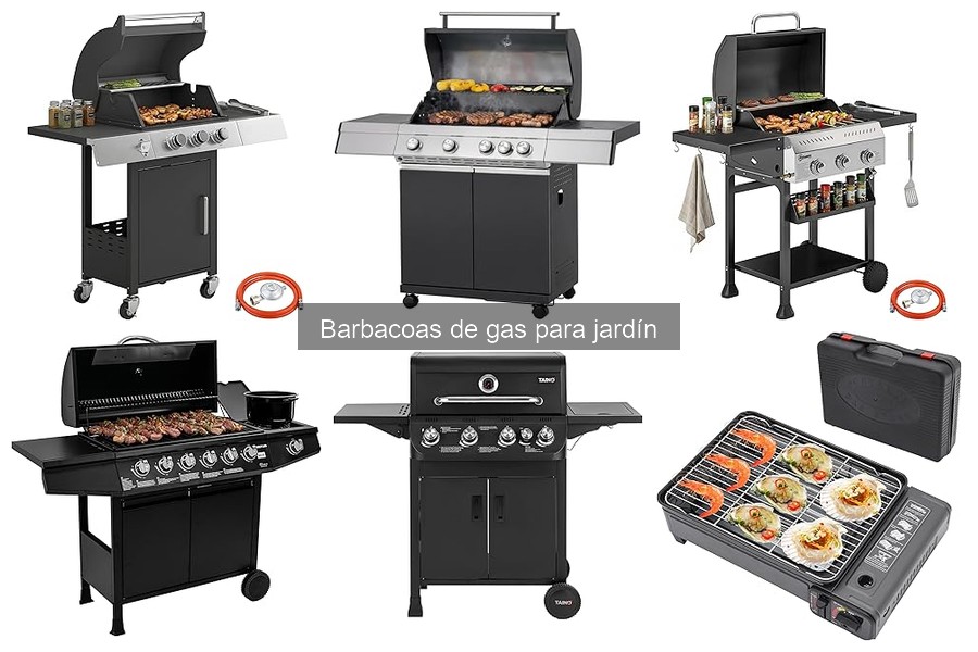 Alternativas a las Barbacoas de Gas: Opciones para tu Jardín