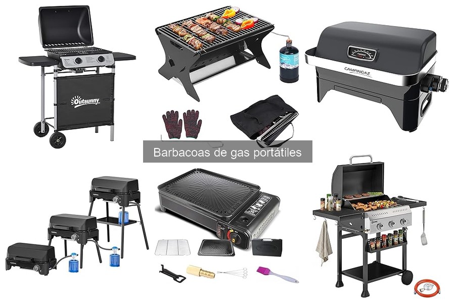 Alternativas a las Barbacoas de Gas Portátiles