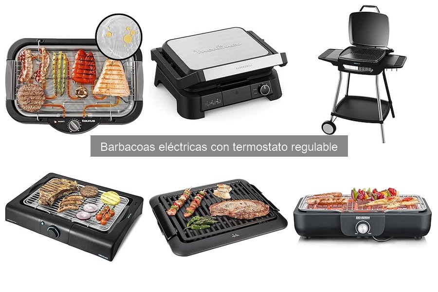 Alternativas a las Barbacoas Eléctricas: Opciones Variadas