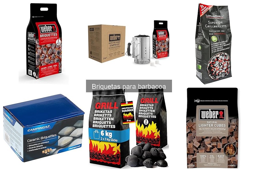 Alternativas a las briquetas para barbacoa: mejores opciones