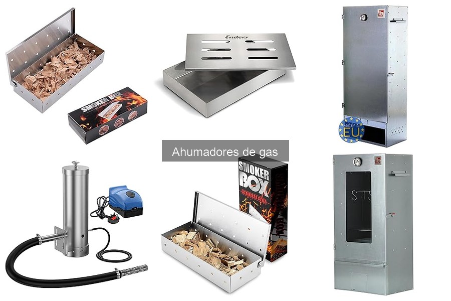 Alternativas a los ahumadores de gas: Guía completa