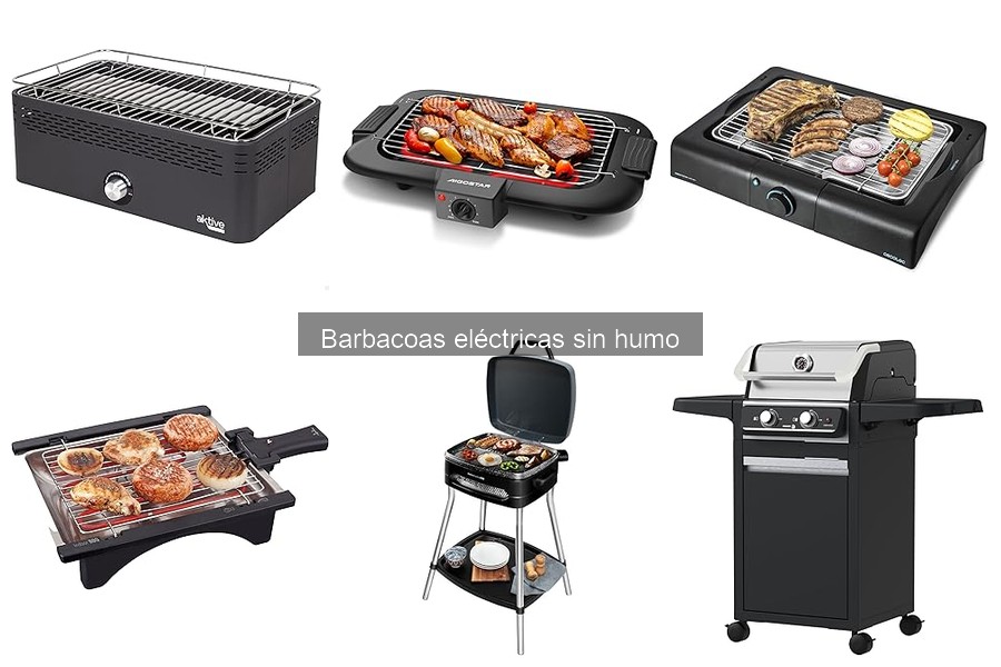 Comidas saludables en barbacoas eléctricas sin humo