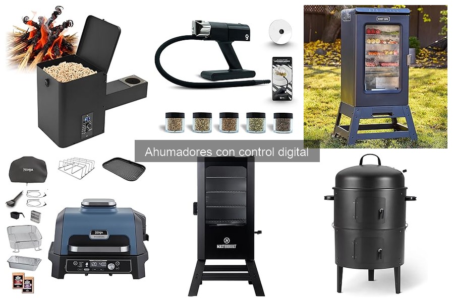 Cómo elegir el mejor ahumador digital según tus necesidades