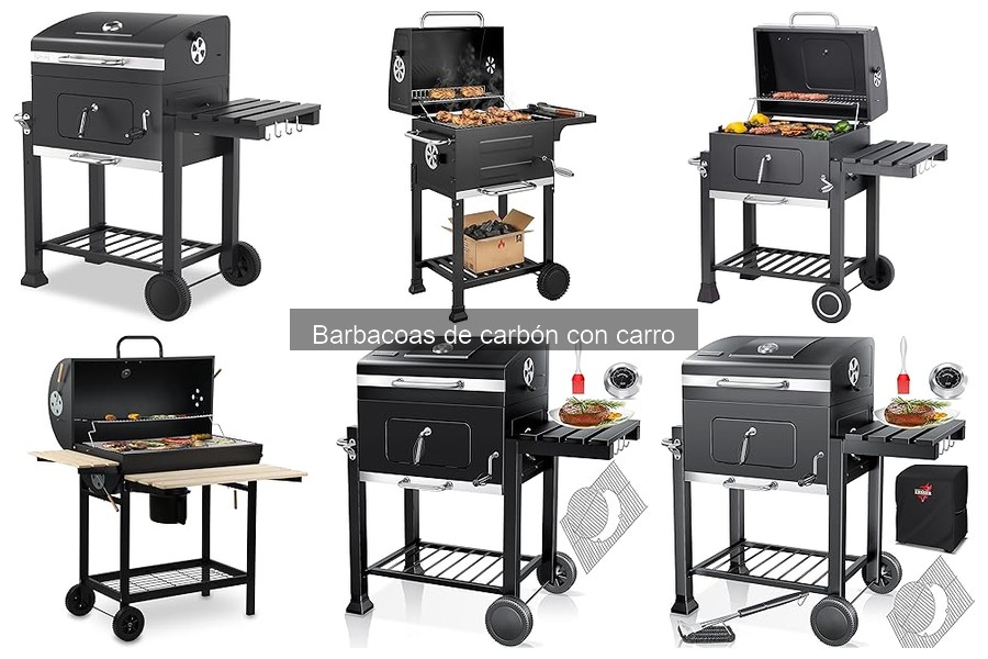 Cómo elegir la mejor barbacoa de carbón con carro