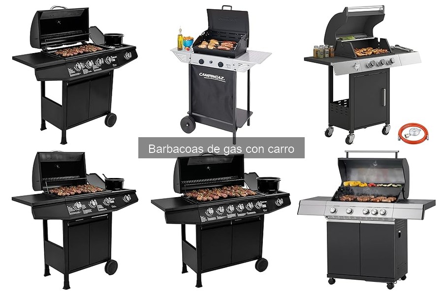 Cómo elegir la mejor barbacoa de gas con carro