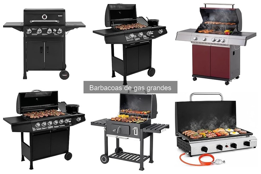 Cómo elegir la mejor barbacoa de gas grande: guía esencial