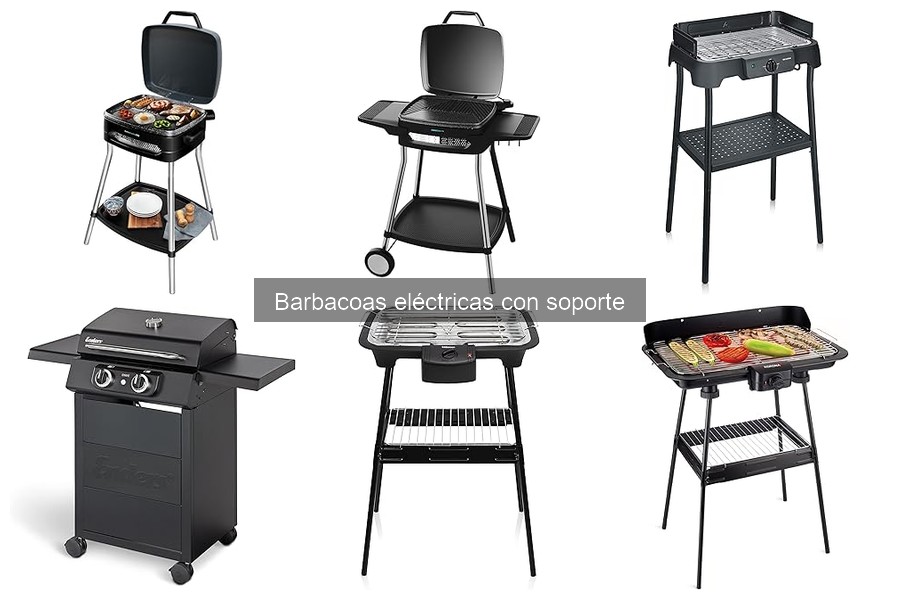 ** Cómo elegir la mejor barbacoa eléctrica con soporte
