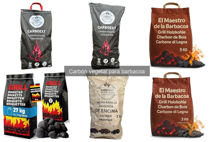 ** Cómo encender el carbón vegetal para barbacoa correctamente