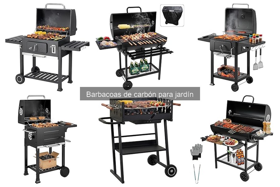 Cómo Evitar Humo Excesivo en Barbacoas de Carbón