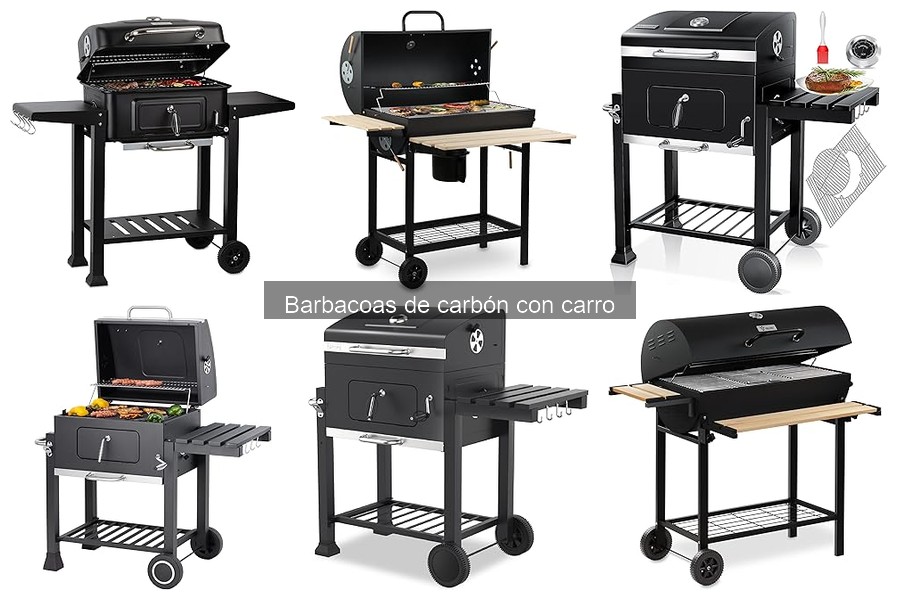 Cómo usar correctamente una barbacoa de carbón con carro
