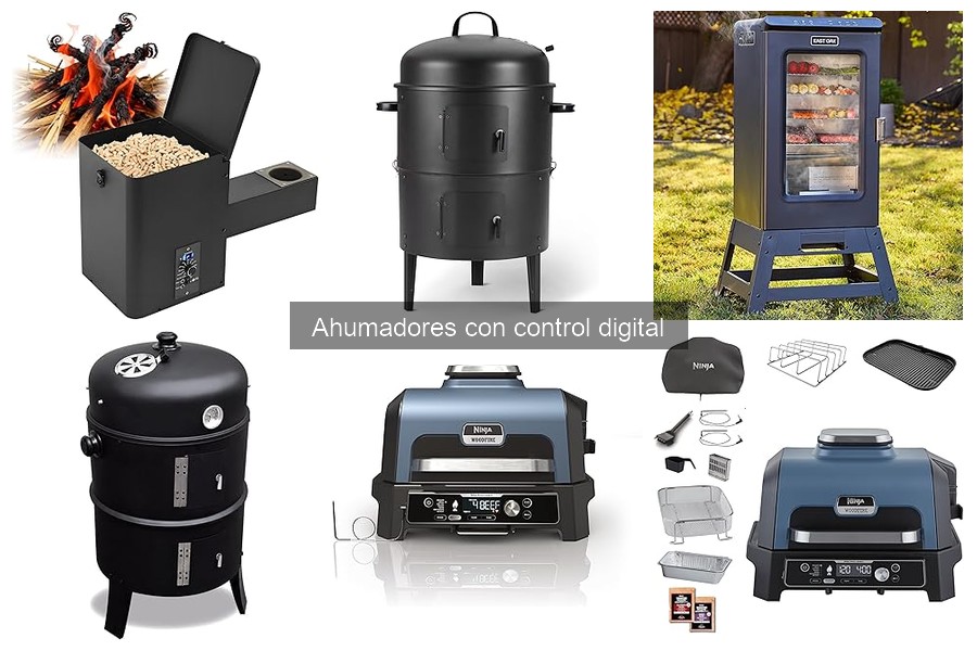 Cómo usar un ahumador digital: guía completa