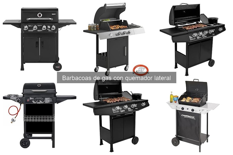 Comparativa: Barbacoa de Gas vs. Barbacoa de Carbón