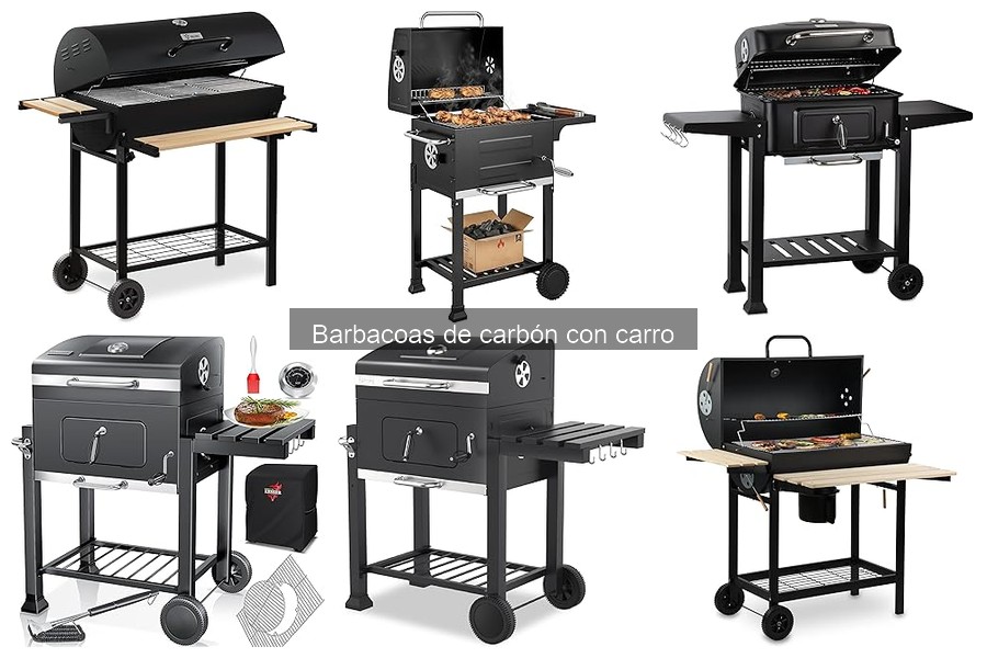 Comparativa: Barbacoas de Carbón con Carro vs. Gas