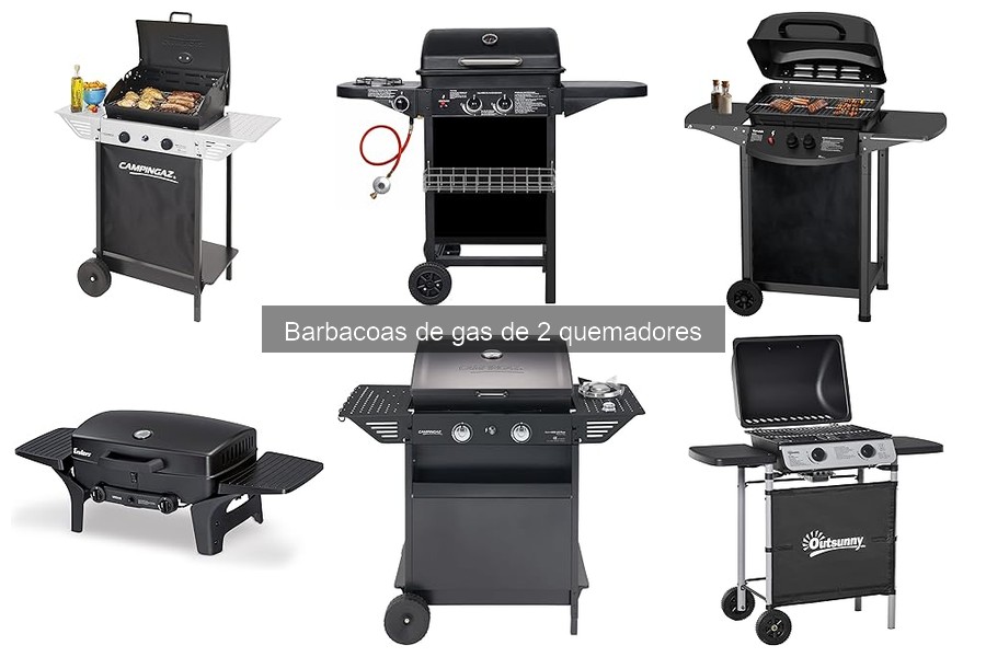 Comparativa: Barbacoas de gas de 2 quemadores vs carbón