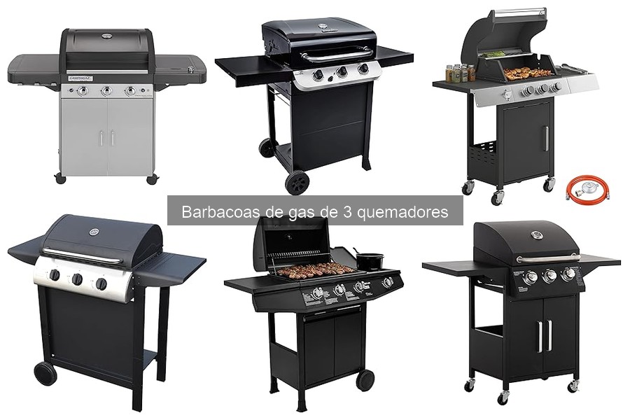 Comparativa: Barbacoas de Gas de 3 Quemadores vs Carbón