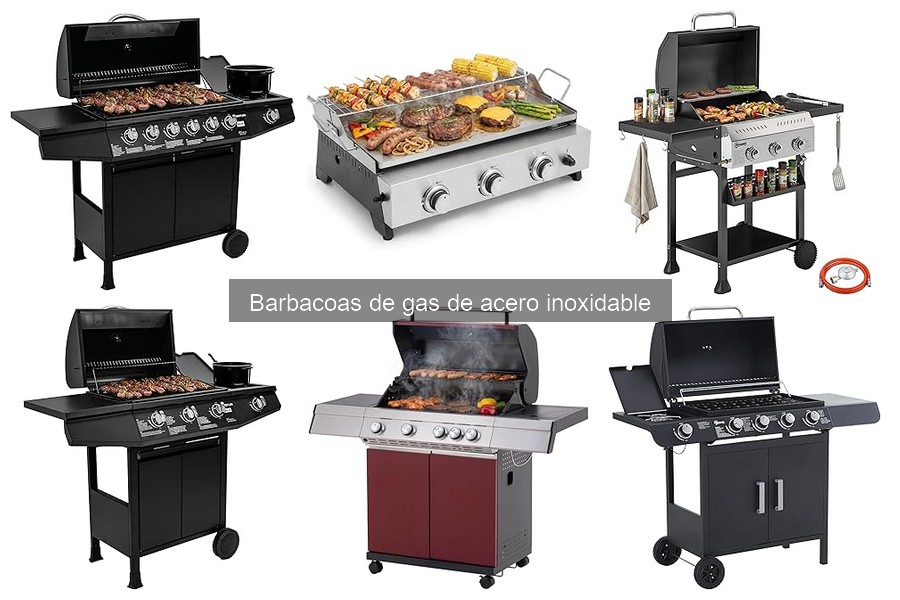 Comparativa Barbacoas de Gas vs Carbon: Sabor y Uso