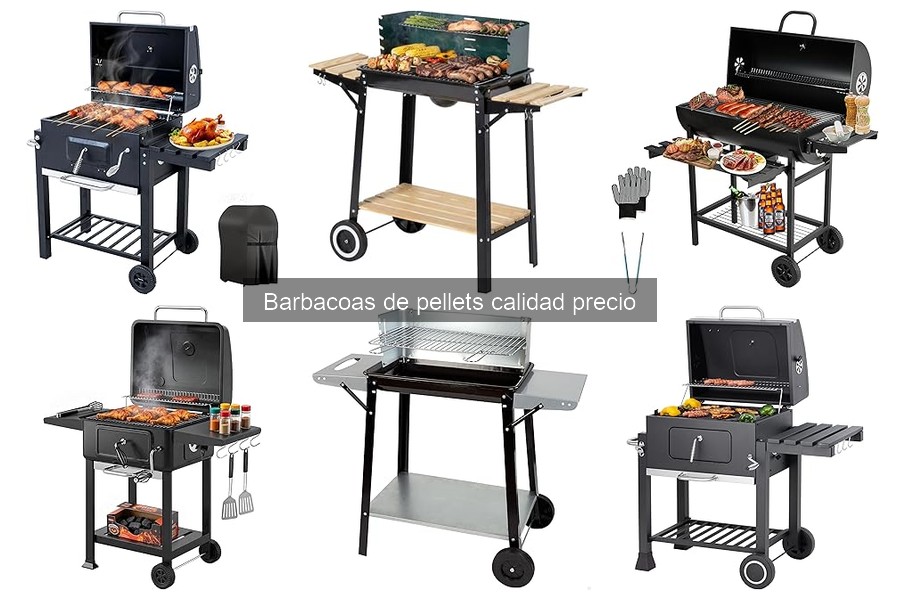 Comparativa: Barbacoas de Pellets vs. Carbón Calidad Precio