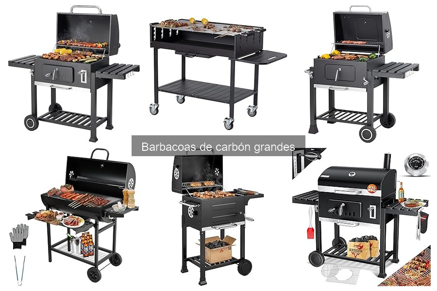 Comparativa de Barbacoas de Carbón vs Eléctricas