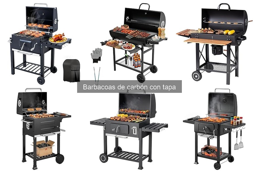 Comparativa de las Mejores Barbacoas de Carbón con Tapa