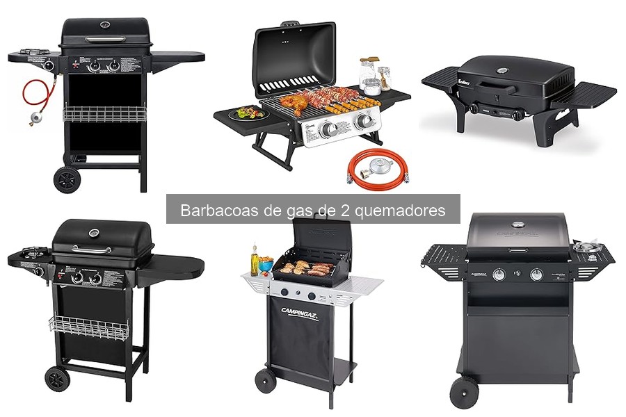 Consejos para el Mantenimiento de Barbacoas de Gas de 2 Quemadores
