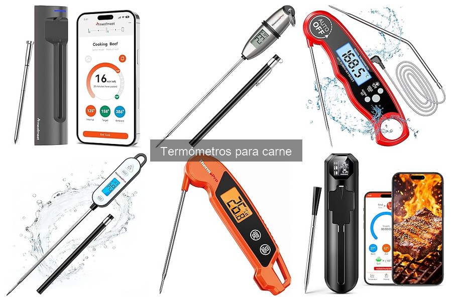 ¿Cuánto cuesta un termómetro para carne? Precios y factores