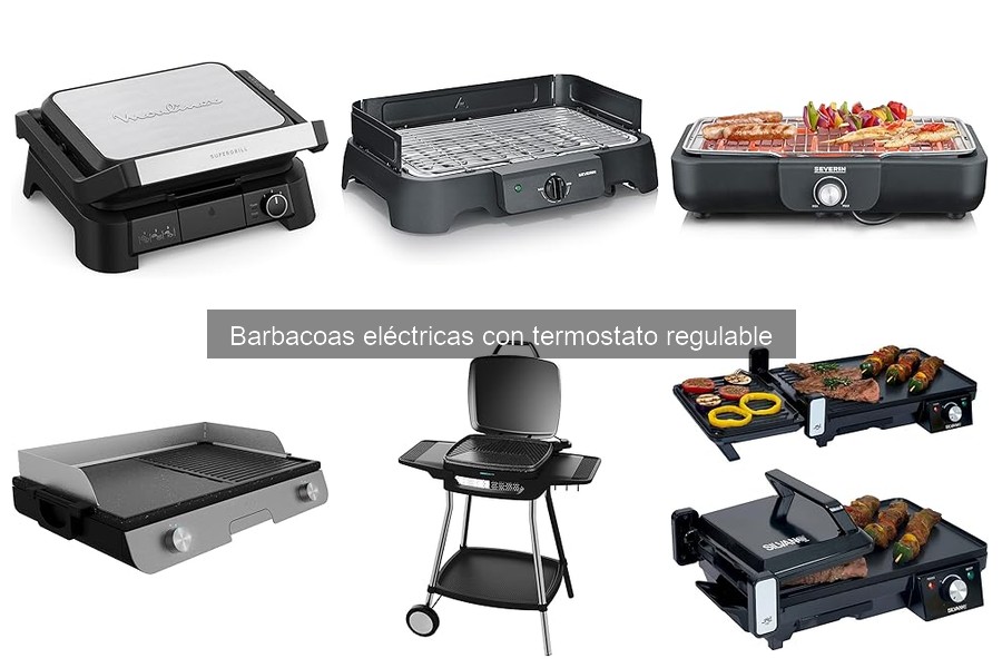 Descubre qué es una barbacoa eléctrica con termostato regulable