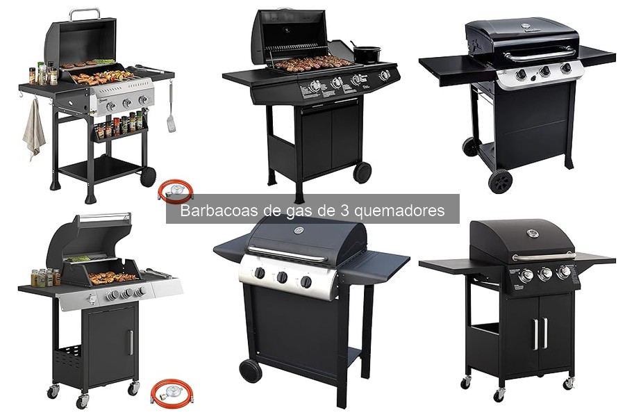 Destinos Perfectos para Usar una Barbacoa de Gas de 3 Quemadores
