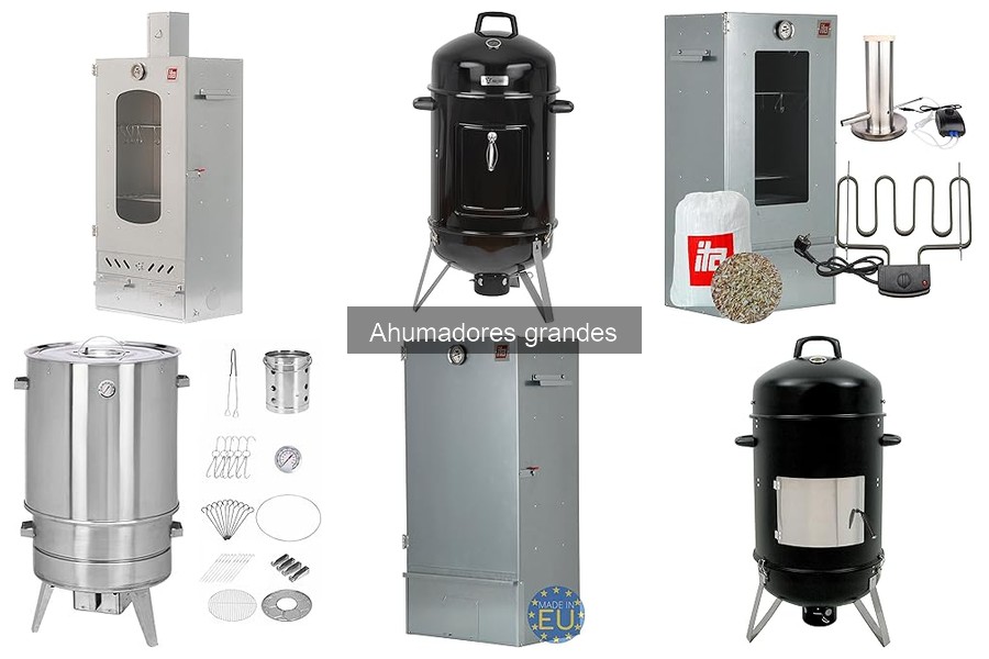 Diferencias entre Ahumadores Grandes de Gas y de Carbón