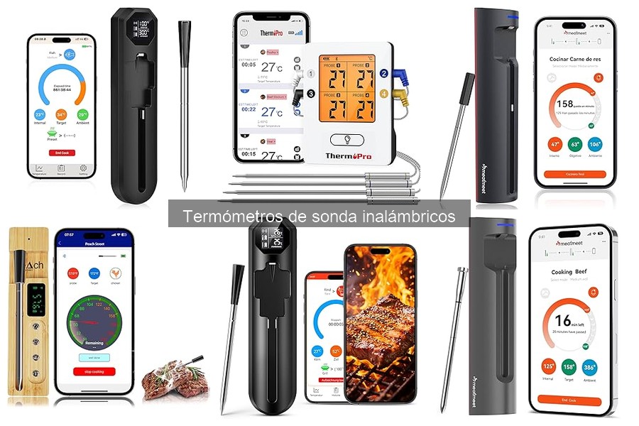Errores comunes con termómetros de sonda inalámbricos en BBQ