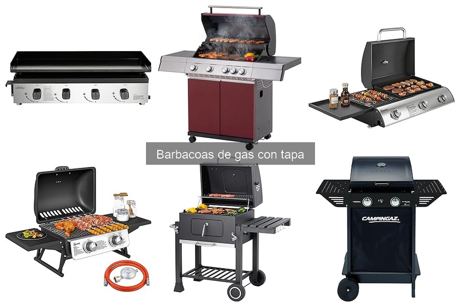 Guía de Compra: Barbacoas de Gas con Tapa para 2023