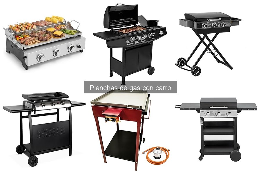 Guía de compra: Planchas de gas con carro