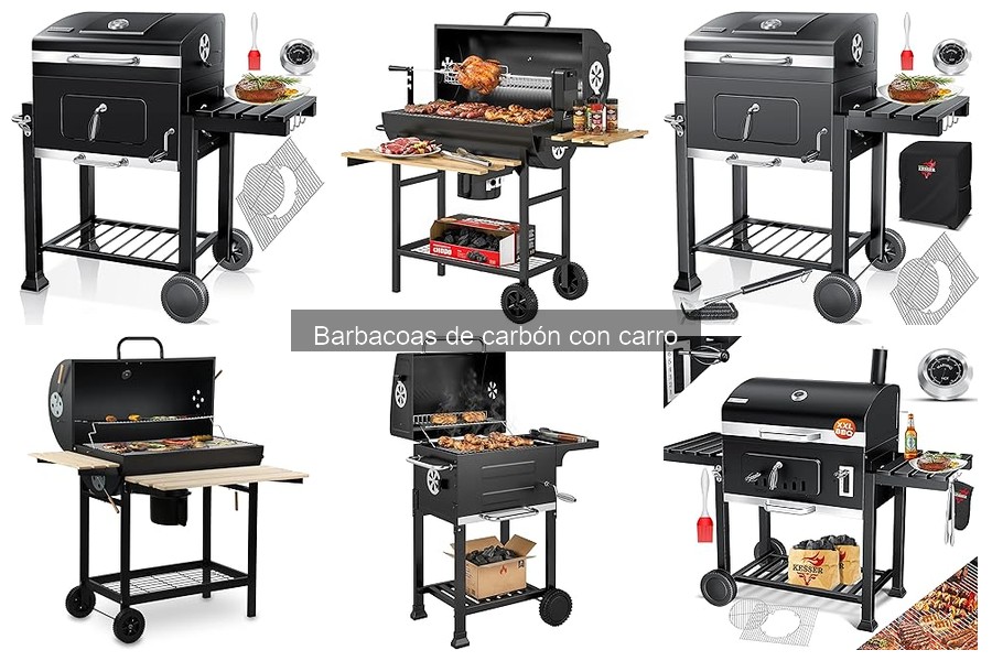 Guía de Instalación para Barbacoas de Carbón con Carro