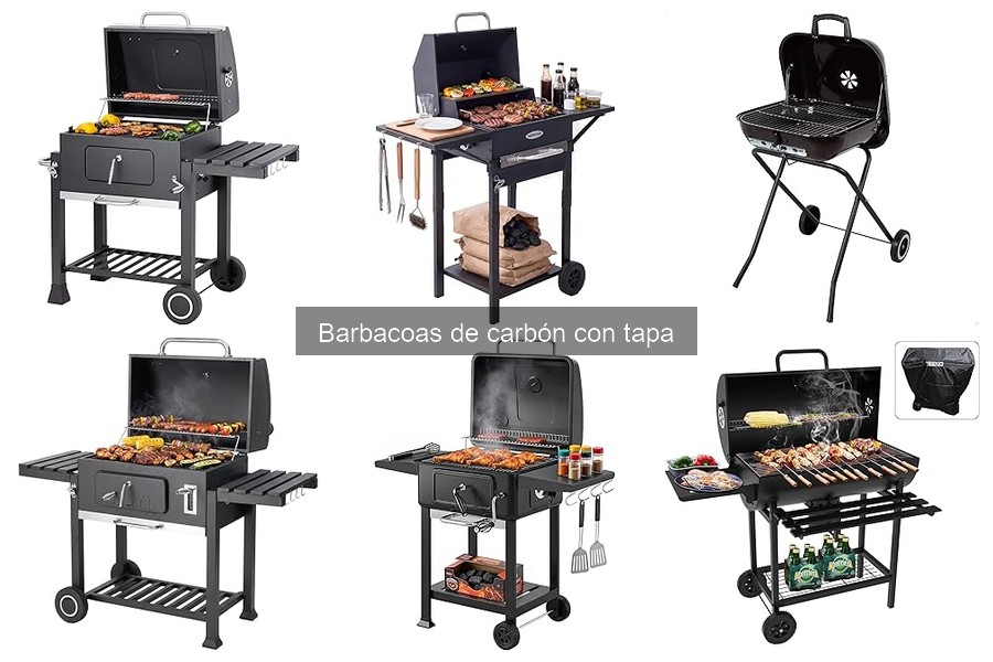 Guía para Elegir la Mejor Barbacoa de Carbón con Tapa