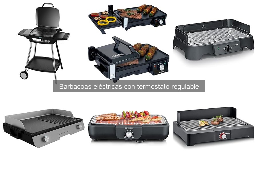Mantenimiento de Barbacoas Eléctricas con Termostato Regulable