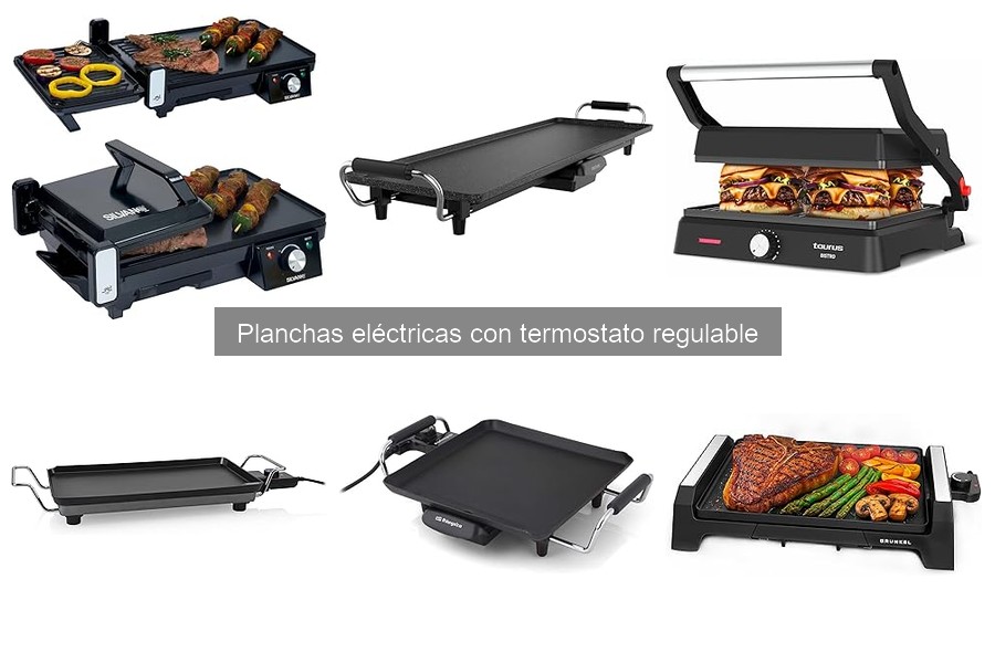 Mantenimiento de Planchas Eléctricas con Termostato Regulable