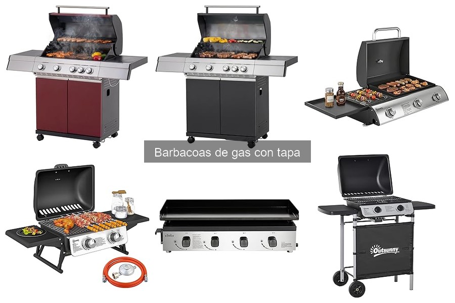 Mantenimiento y limpieza de barbacoas de gas con tapa