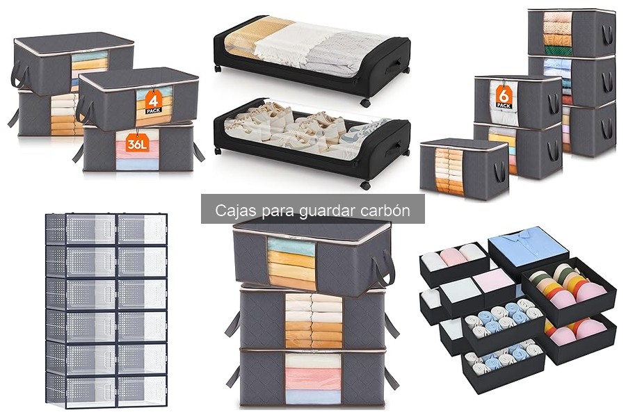 Mejores cajas para guardar carbón en 2023: comparativa