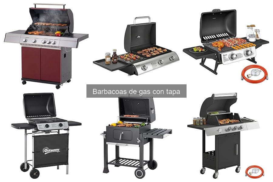 Mejores lugares para comprar barbacoas de gas con tapa