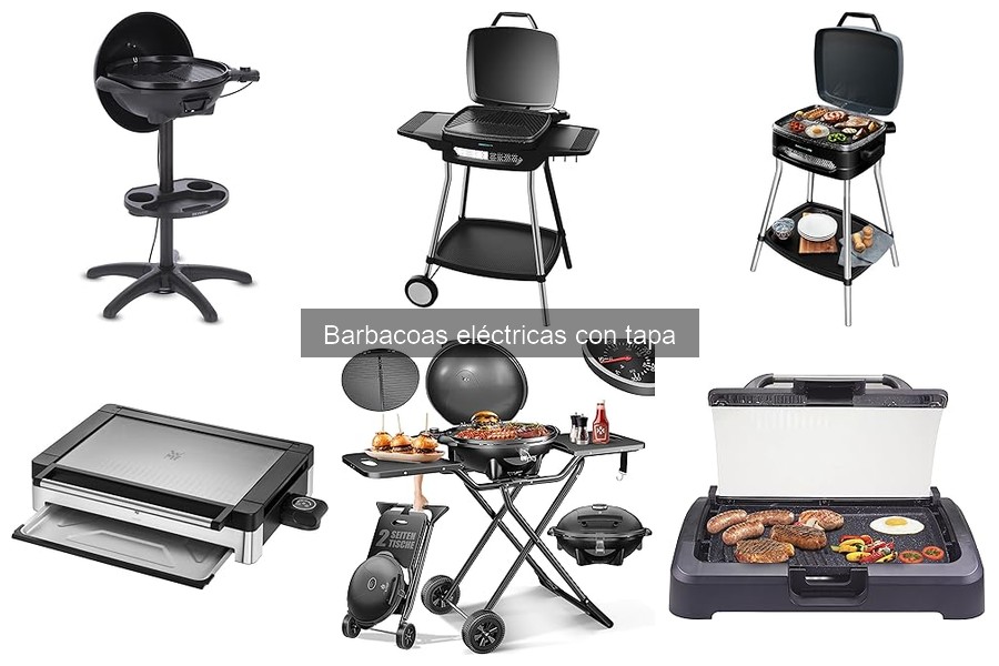 Mejores lugares para comprar barbacoas eléctricas con tapa