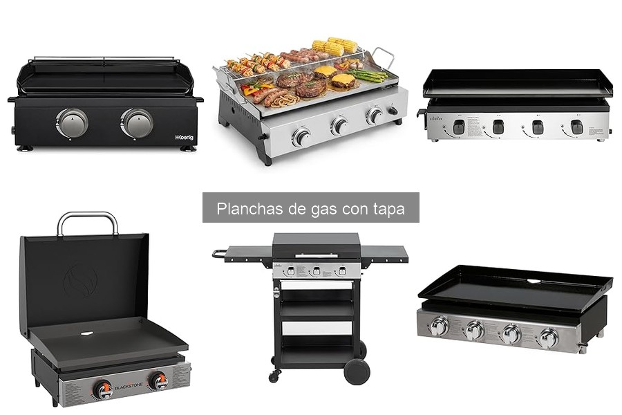 Mejores marcas de planchas de gas con tapa en 2023